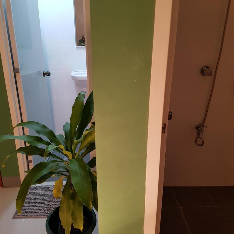 Green Turtle Backpackers Guesthouse, פורטו פרינססה מראה חיצוני תמונה